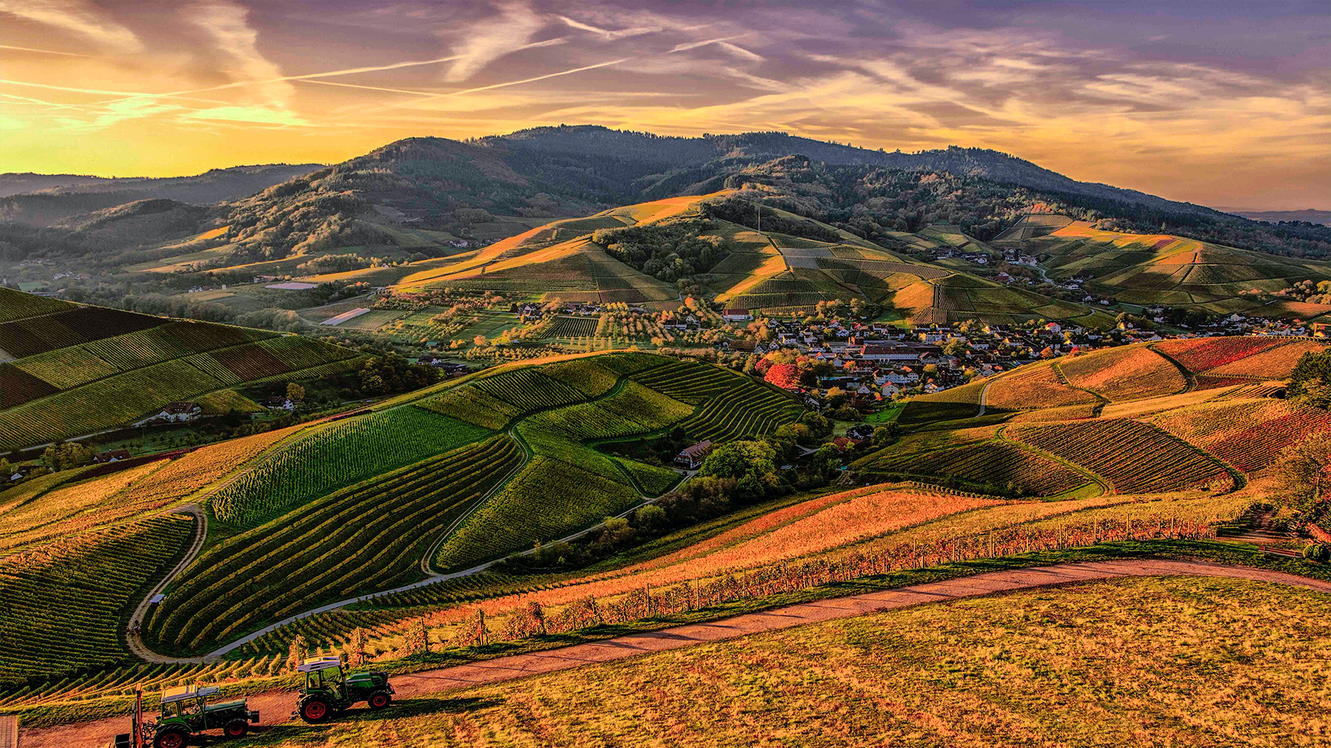 Farm Management Techniques For Sustainable Agriculture